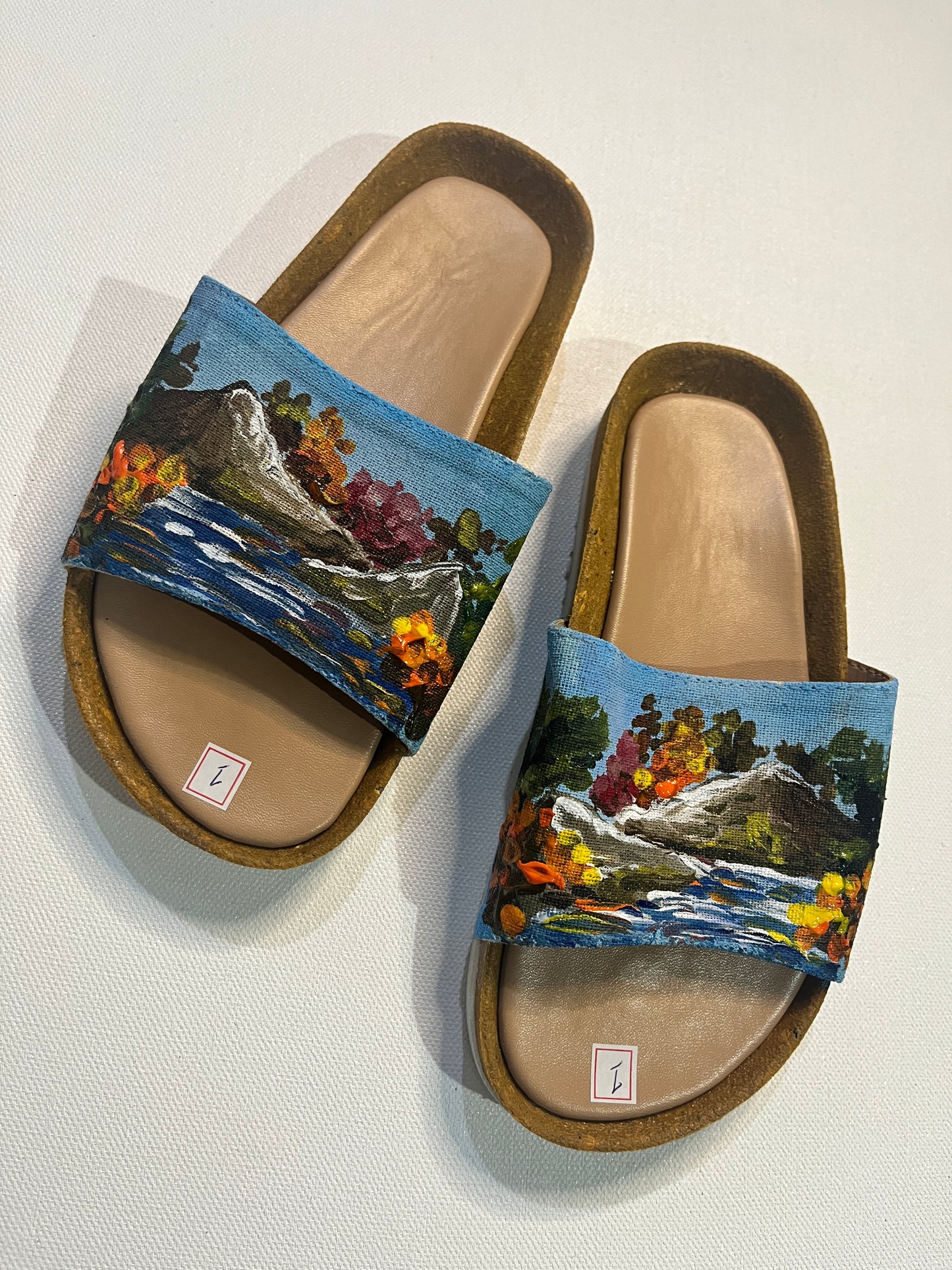 Hand-painted Slippers for Kids (Landscape #1)