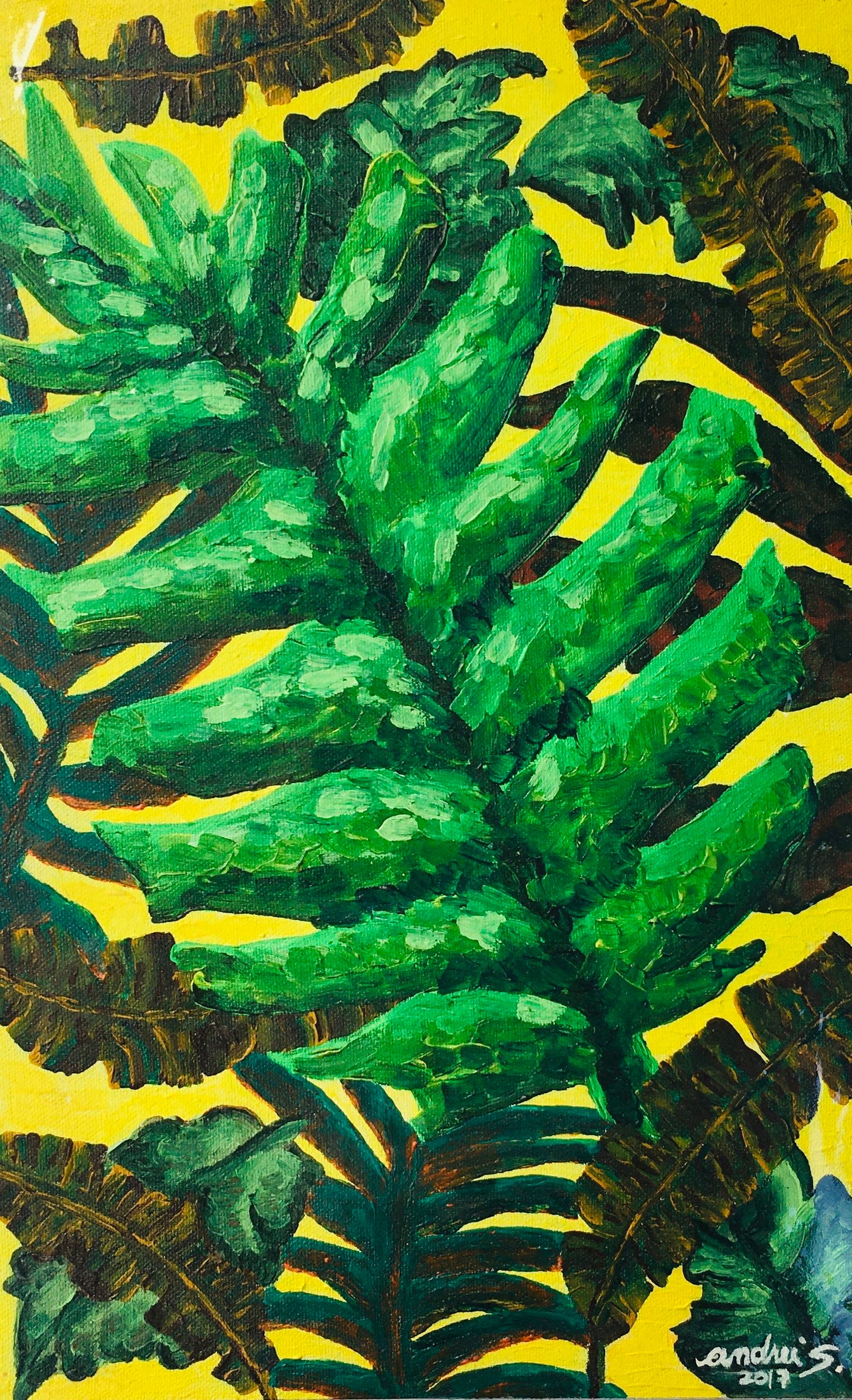 Tropical Leaves (2017)